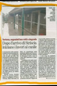 stampa