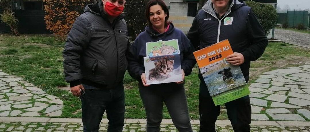 Animal’s Angels a Radio Gold!