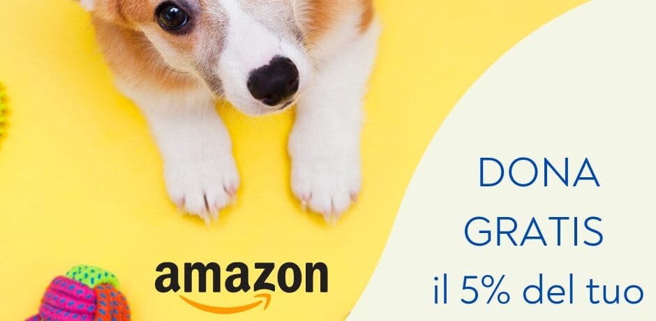 Animal’s Angels e CoolBeez!