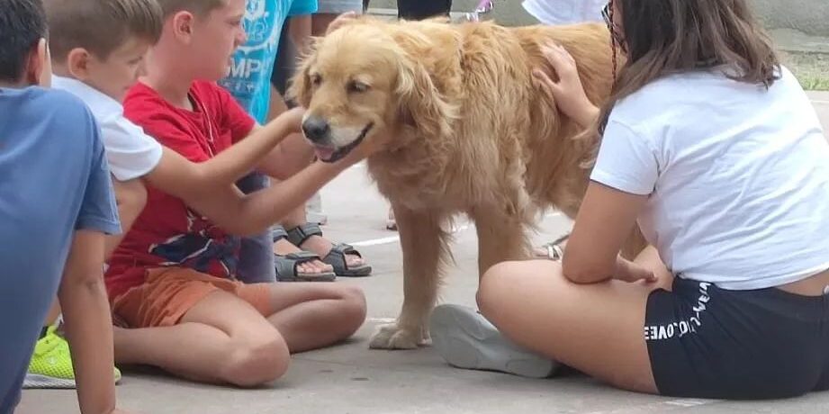 Le nostre attività per i più giovani!