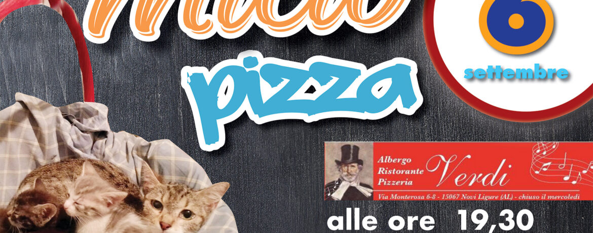 Micio Pizza 6 settembre 2024