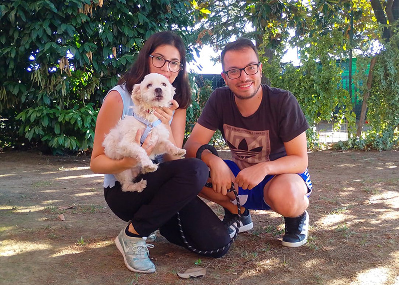 Chicco