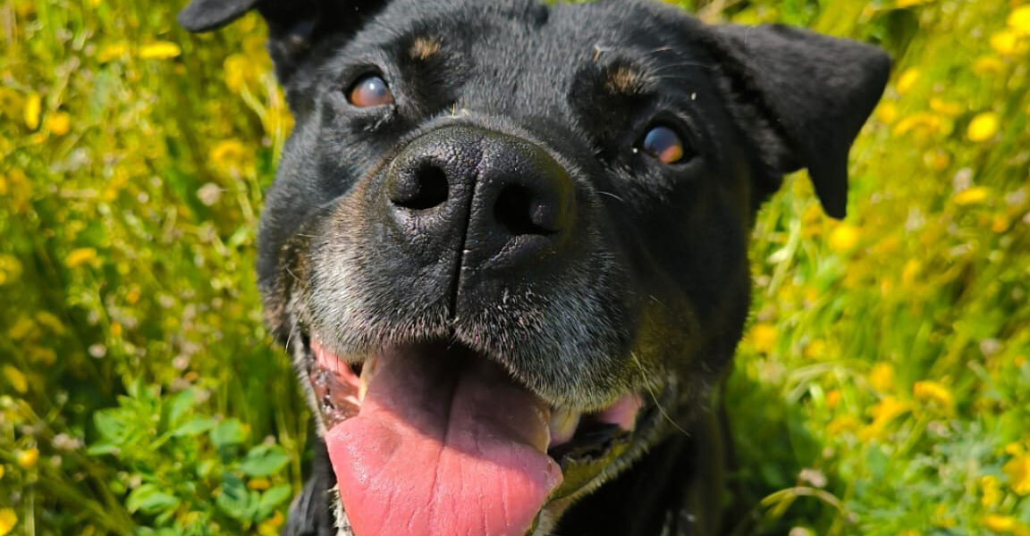 Minù