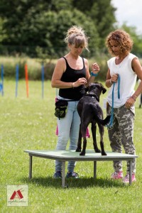 13344509 505364926314077 6532678026356546302 n