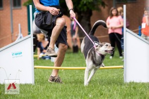 13346316 505363402980896 7189494366484775630 o