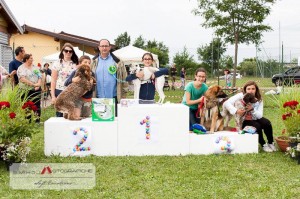 13346676 10153807066849773 2529488700080531604 n