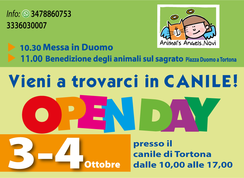 OPEN DAY 4 ottobre 2026